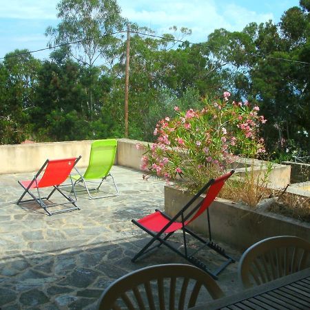 Location St Flo Apartment Saint-Florent  Ngoại thất bức ảnh